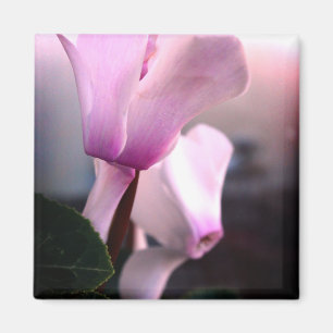 Pink White Flowers Photo Square Magnet