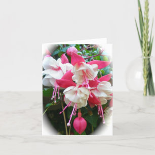 Pink & White Fuschia Card