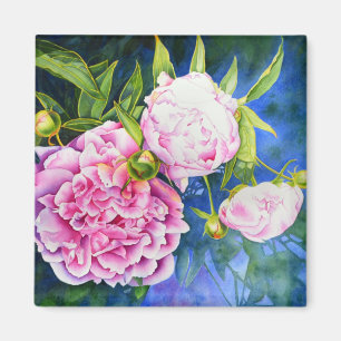 Pink white peony painting   romantic floral magnet