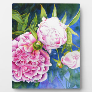 Pink white peony painting romantic floral plaque
