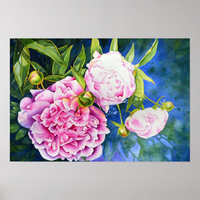 Pink white peony painting | romantic floral poster (Front)