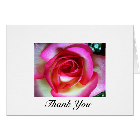 Pink & White Rose Card