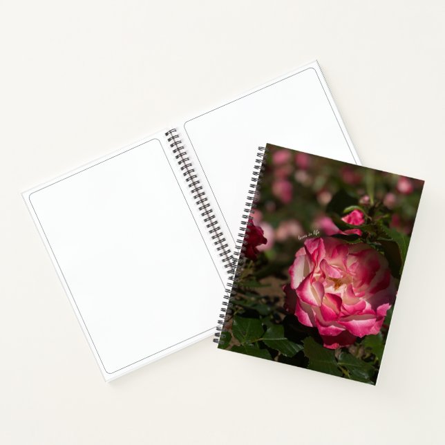 Pink & White Rose, Hardcover Notebook (Inside)