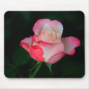 Pink-White Rose Mouse Pad