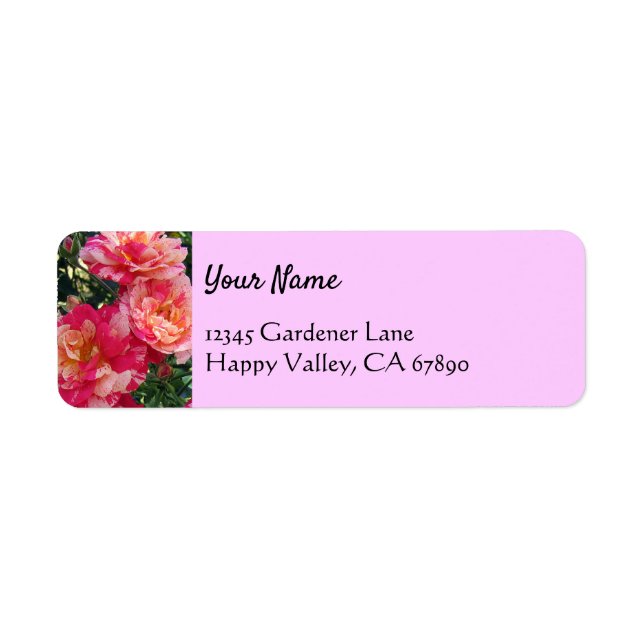 Pink White Roses Editable Return Address Labels (Front)