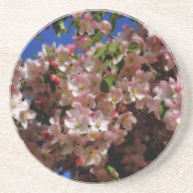 Pink White Spring Blossoms Floral Coaster (Front)