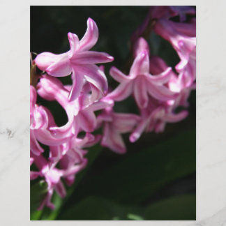 Pink-White Spring Flowers
