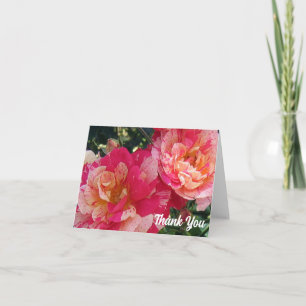 Pink White Striped Roses 4" x 5.6" Thank You Card