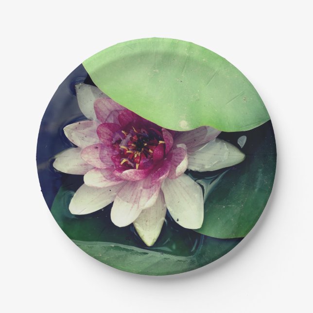 Pink ,White Water Lilly, Lotus Flower  Paper Plate (Front)