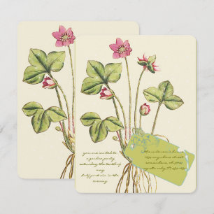 Pink Wild Flower Botanical Dinner Invitations