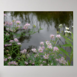Pink Wild Flowers Near Brook Poster