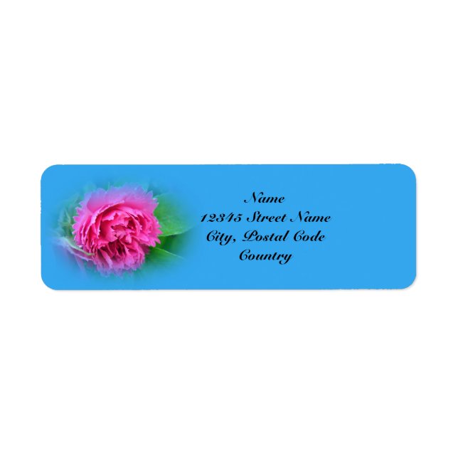 pink wild rose,blue return address label (Front)
