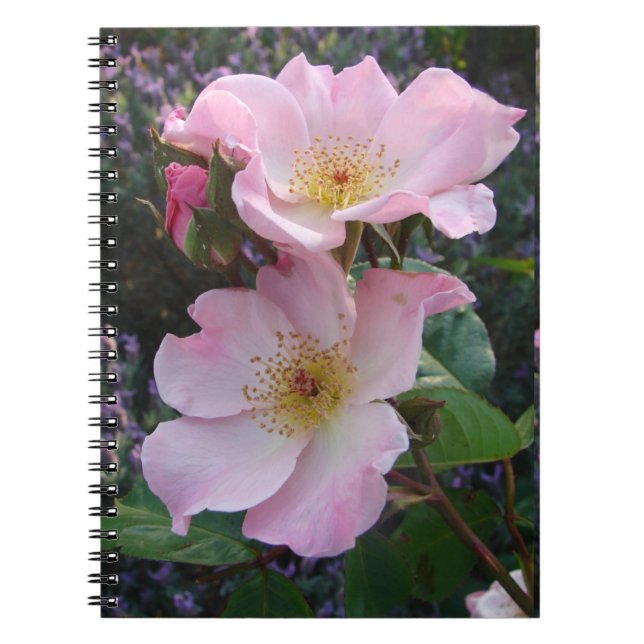 Pink Wild Rose Flower floral Photo Mom Mothers Day Notebook (Front)