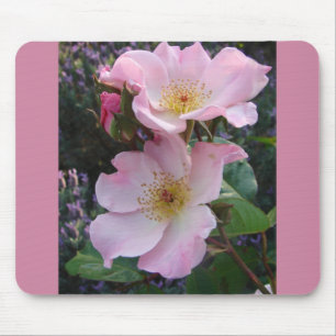 Pink Wild Rose Flower floral Photo Mouse Pad
