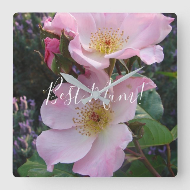 Pink Wild Rose Flower floral Photo Mum Mothers Day Square Wall Clock (Front)