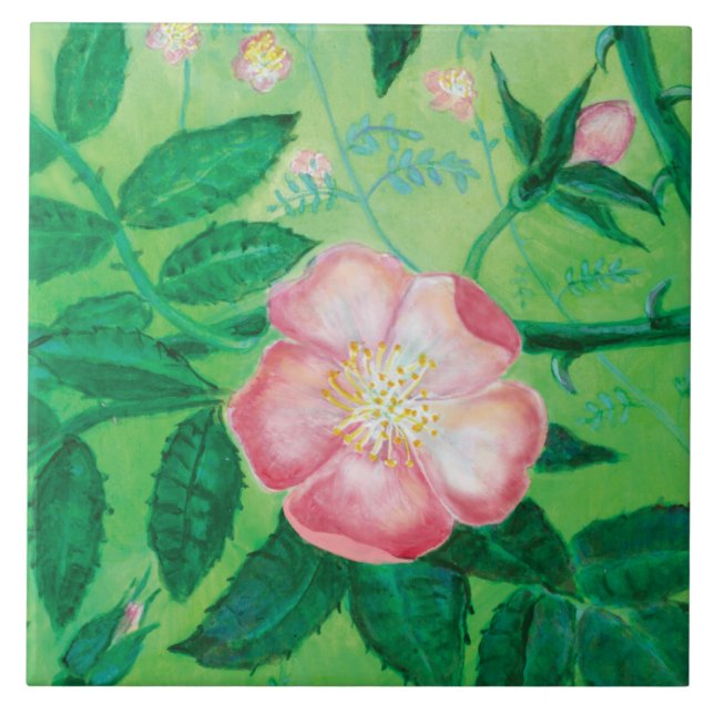 Pink Wild Rose Illustration  Ceramic Tile (Front)
