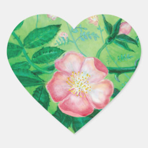 Pink Wild Rose Illustration  Heart Sticker