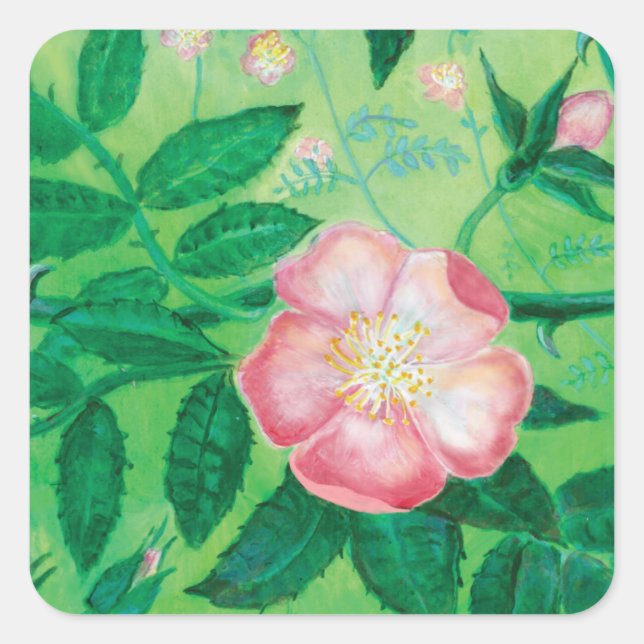 Pink Wild Rose Illustration    Square Sticker (Front)