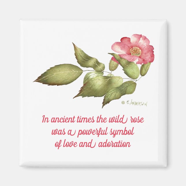 Pink wild rose with saying magnet (Front)