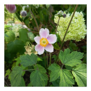 Pink Wildflower Wall Sign   Botanical Floral Home 