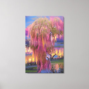 Pink Willow tree at sunset by the pond Canvas Print