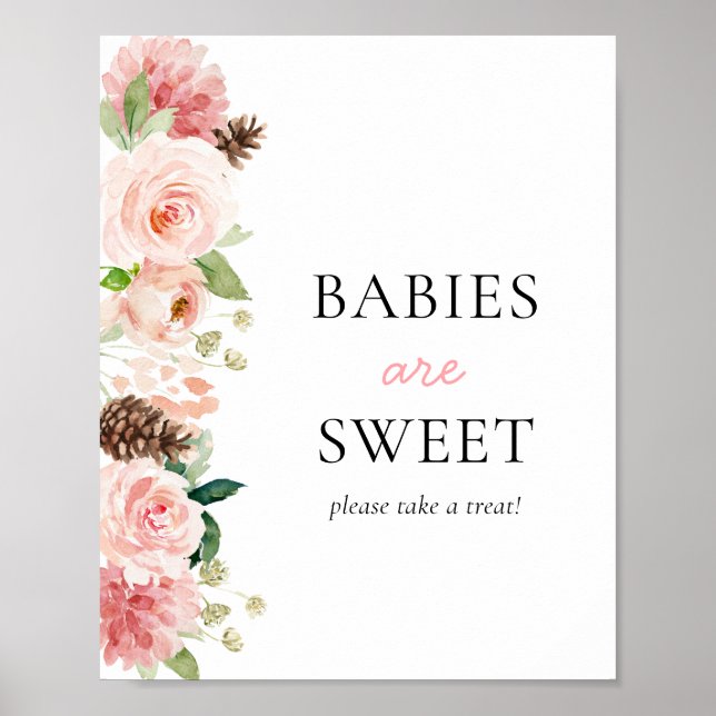 Pink Winter Baby Shower Babies are Sweet Poster (Front)