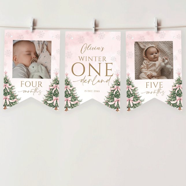 Pink Winter Onederland 1st Birthday Monthly Photo Bunting (Creator Uploaded)