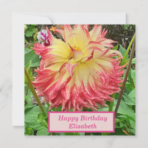 Pink & Yellow Dahlia Flat Birthday Card