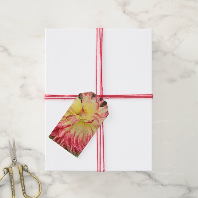 Pink & Yellow Dahlia Gift Tags (With Twine)