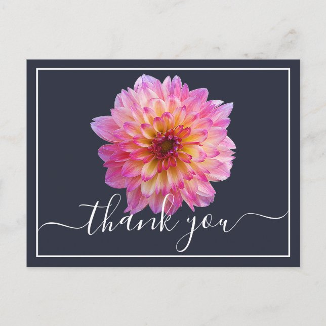 Pink Yellow Dahlia Navy Background Thank You Postcard (Front)
