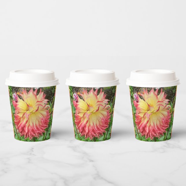 Pink & Yellow Dahlia  Paper Cups (Multi)