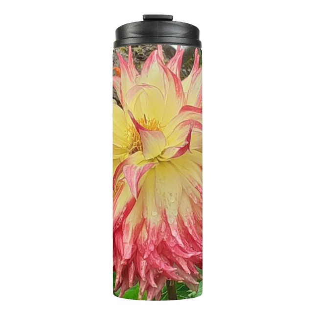 Pink & Yellow Dahlia   Thermal Tumbler (Front)