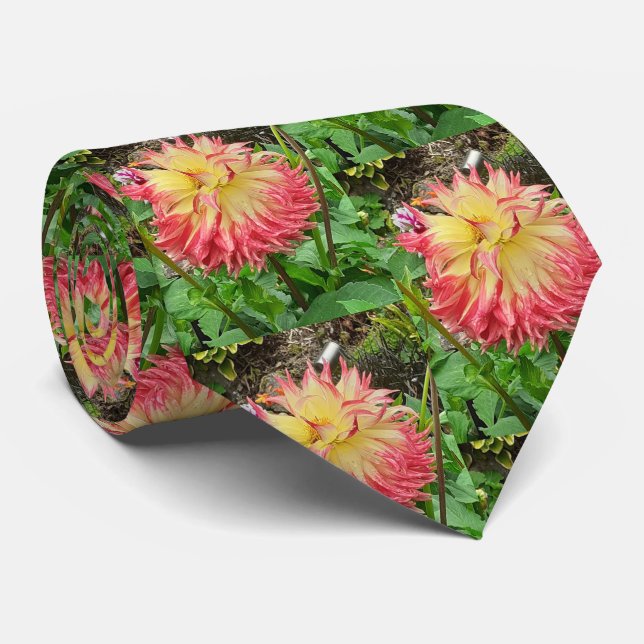 Pink & Yellow Dahlia  Tie (Rolled)