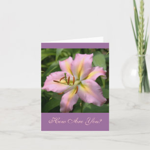 "PINK&YELLOW DAY LILY/HOW ARE YOU?" CARD