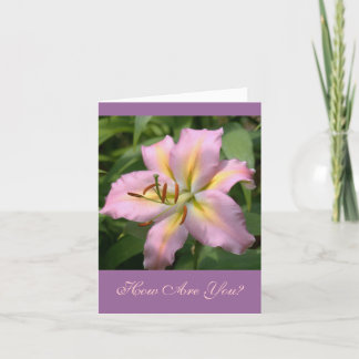 "PINK&YELLOW DAY LILY/HOW ARE YOU?" CARD