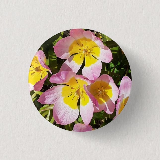 Pink & Yellow Flowers  3 Cm Round Badge (Front)