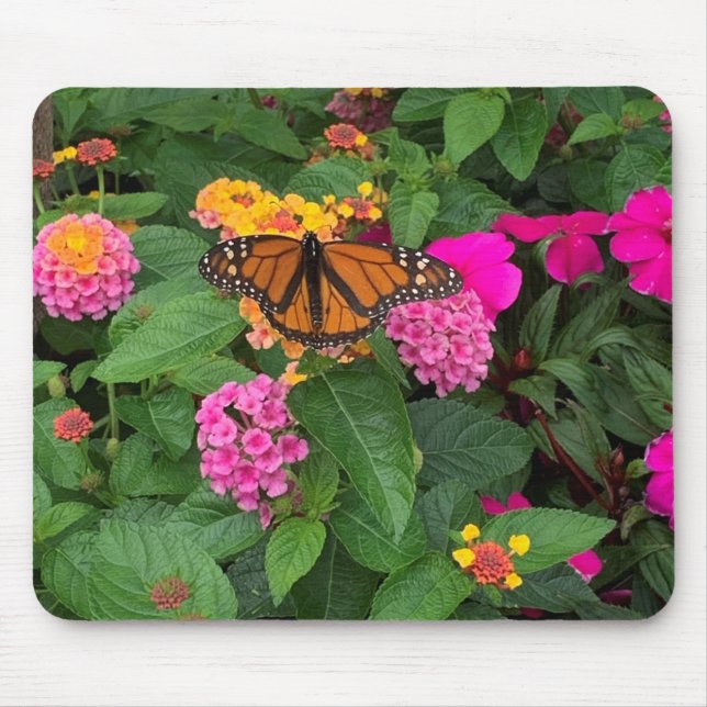 Pink Yellow Green Floral Lantana with Butterfly  Mouse Pad (Front)