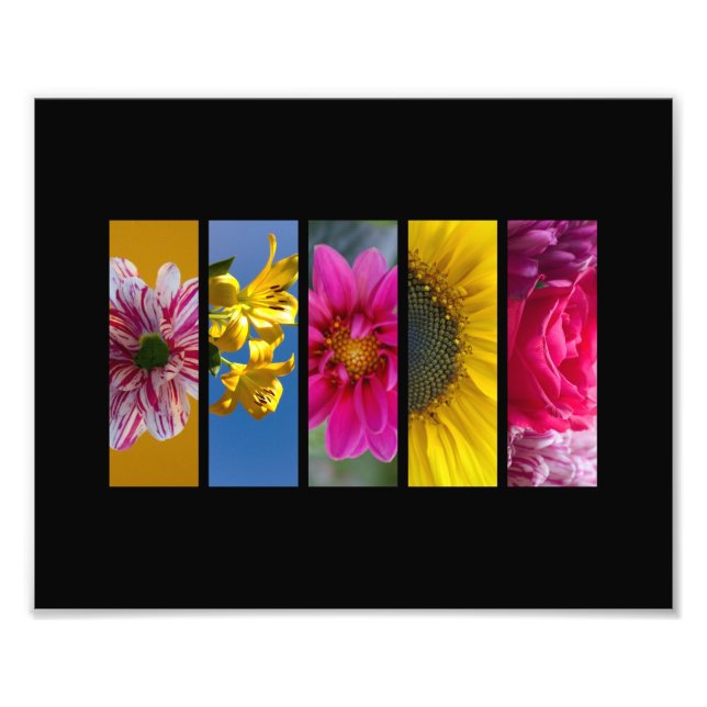 Pink & Yellow Macro Flowers landscape Photo Print (Front)