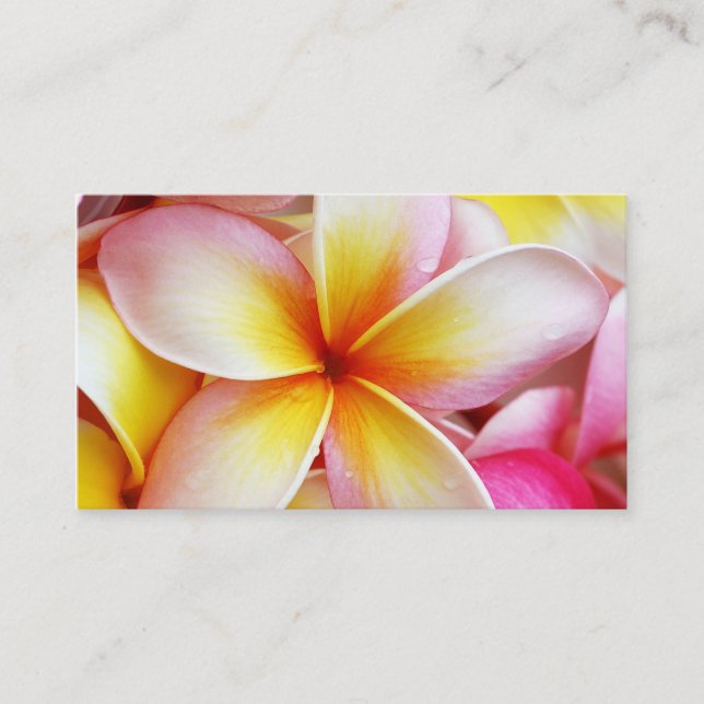 Pink Yellow Purple Plumeria Frangipani Flowers Business Card (Front)