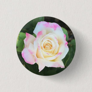 Pink & Yellow Rose Button