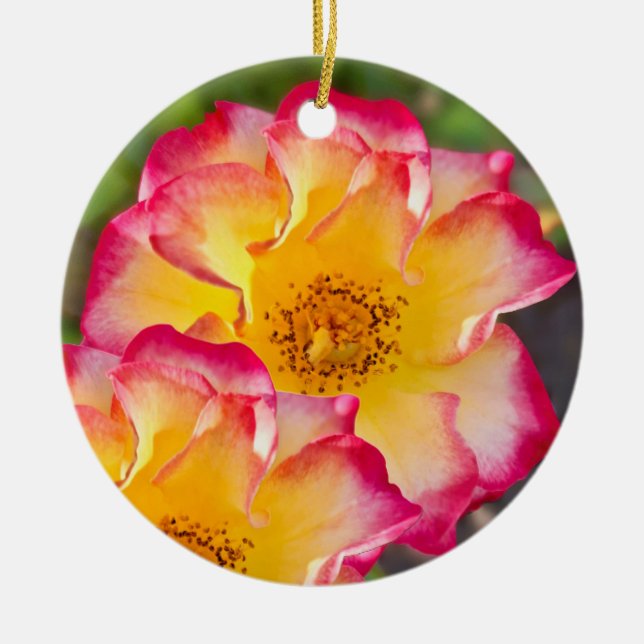 Pink Yellow Rose Ceramic Ornament (Front)