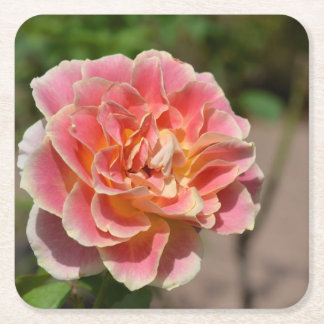 Pink Yellow Rose Coaster