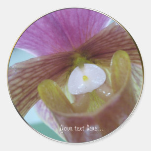 Pink Yellow Slipper Orchid Wedding Sticker