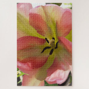 Pink & Yellow Tulips Jigsaw Puzzle