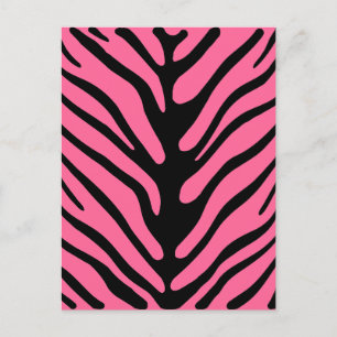 Pink Zebra Stripes Postcard