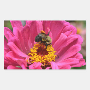 Pink Zinnia and Bumble bee Rectangular Sticker