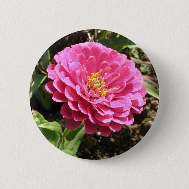 Pink Zinnia Button (Front)