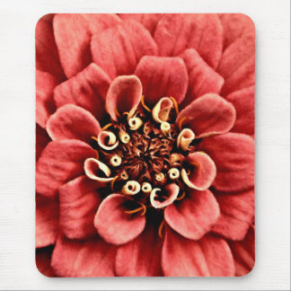 pink zinnia detail is cheery but not too bright mouse pad
