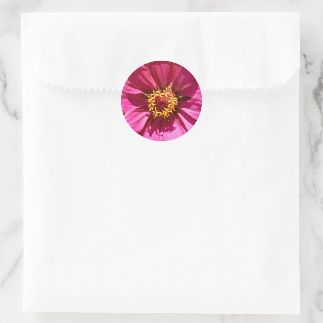 Pink Zinnia Elegans   Classic Round Sticker (Bag)