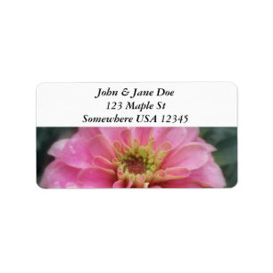 Pink Zinnia Flower Label